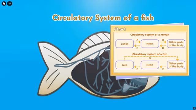 An Ottodot Science game comparing the circulatory systems of a fish and a human