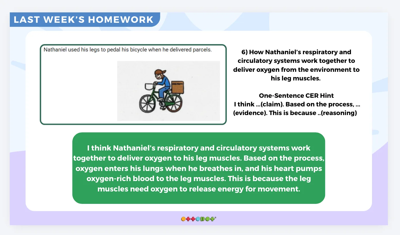 P5 Science OEQ question about Nathaniel cycling and delivering oxygen to his leg muscles