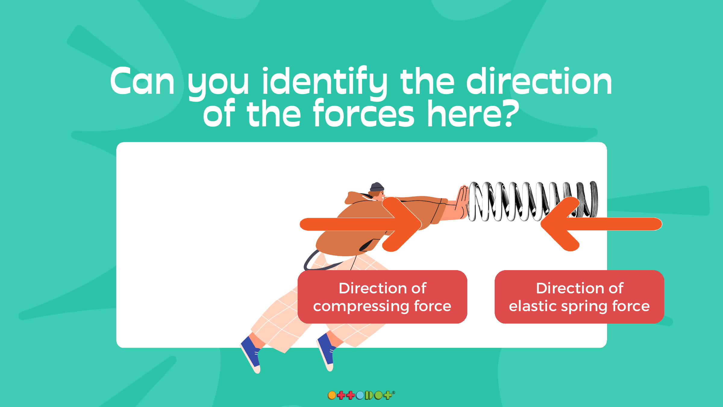 Ottodot lesson slide showing direction of compressing and elastic spring force