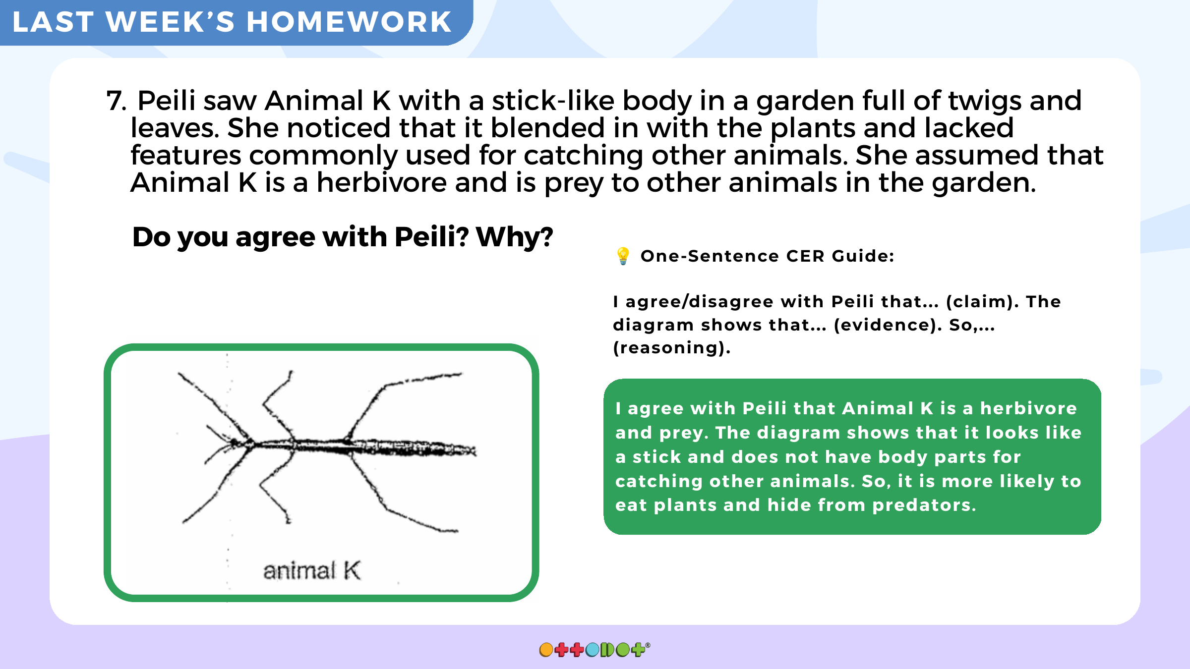 Worked CER example from P6W28 showing Animal K adaptation with stick-like body and herbivore prey reasoning.
