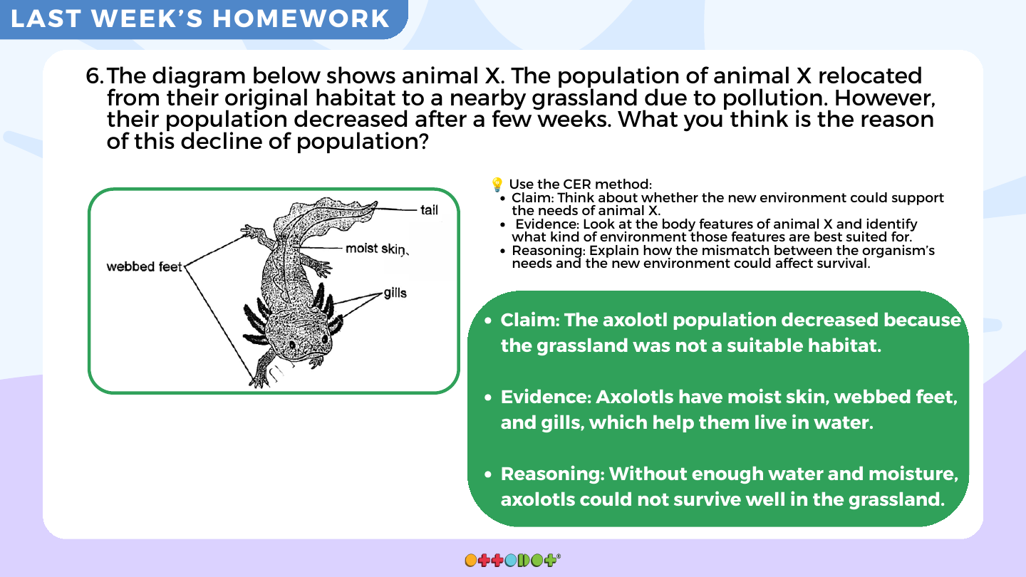 Habitat suitability worked example for P6 Science Section B