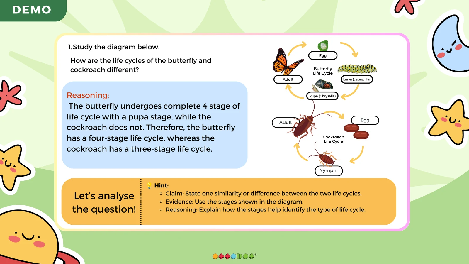 CER worked example comparing butterfly and cockroach life cycles from P3W26 Life cycle of animals Similarities and Differences PDF