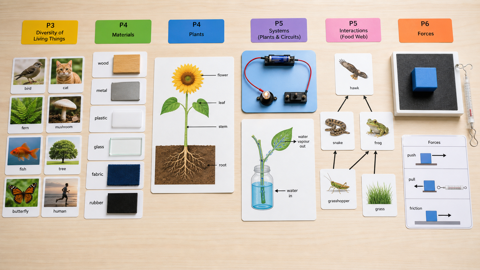 Primary Science topic progression cards for P3, P4, P5, and P6