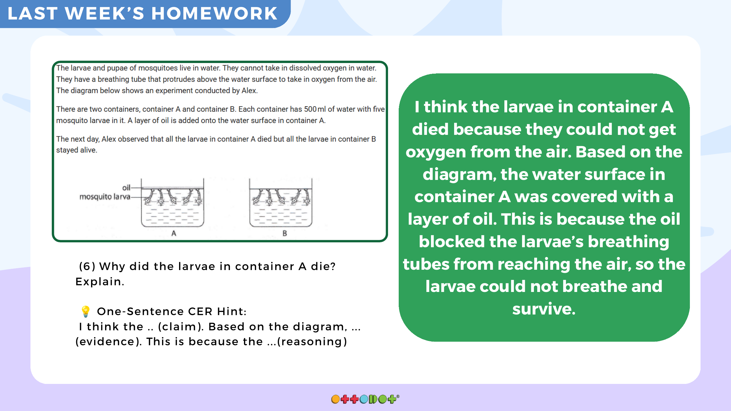 CER worked example showing mosquito larvae in containers with and without an oil layer