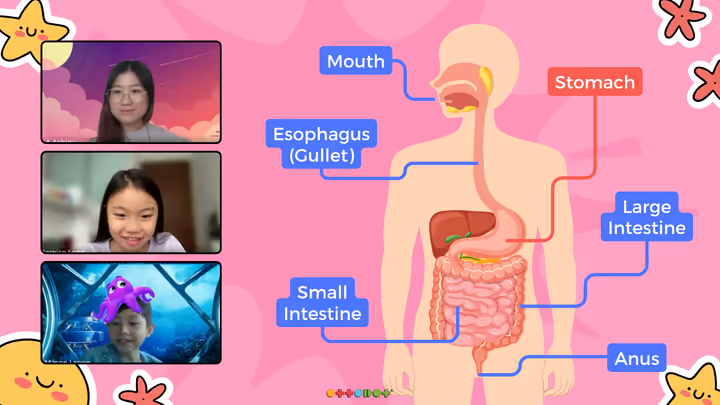 Ottodot teacher-led trial class preview from the homepage