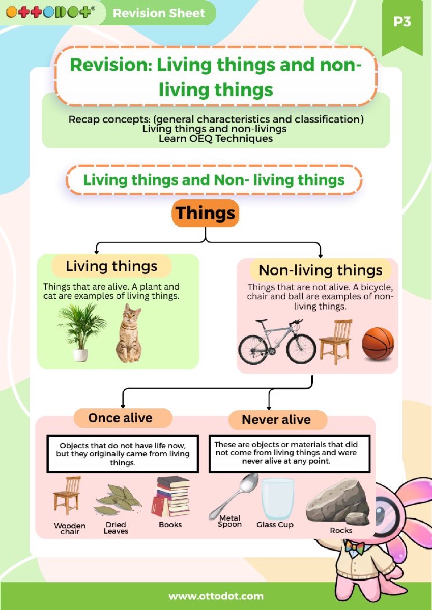 P3 Living and Non-living Things revision guide sample page