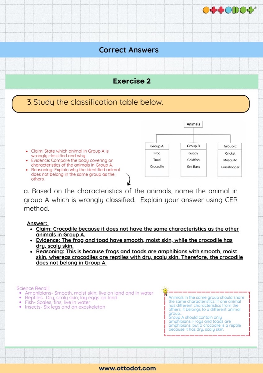 P4 Animals: Recap and OEQ revision guide sample page
