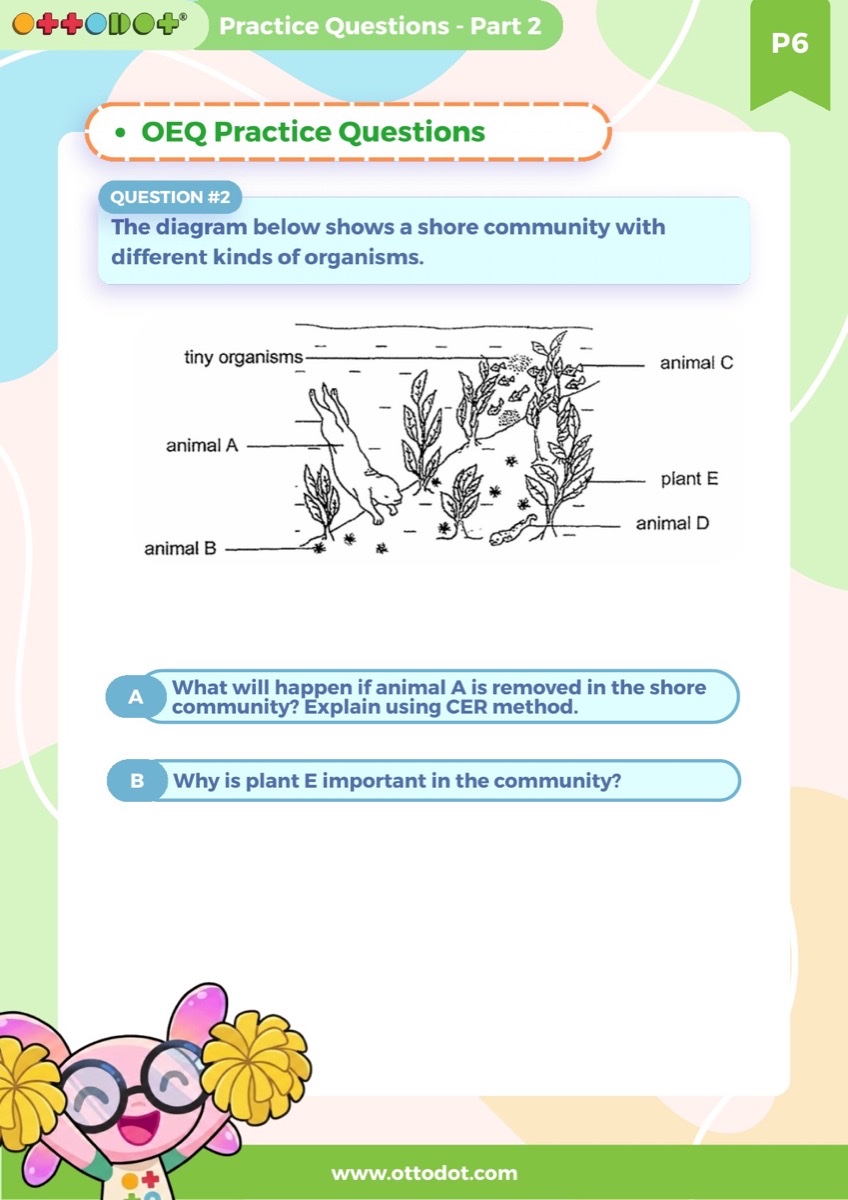 P6 PSLE Preparation: Living Together, Food Chains, Adaptations and Man's Impact revision guide sample page
